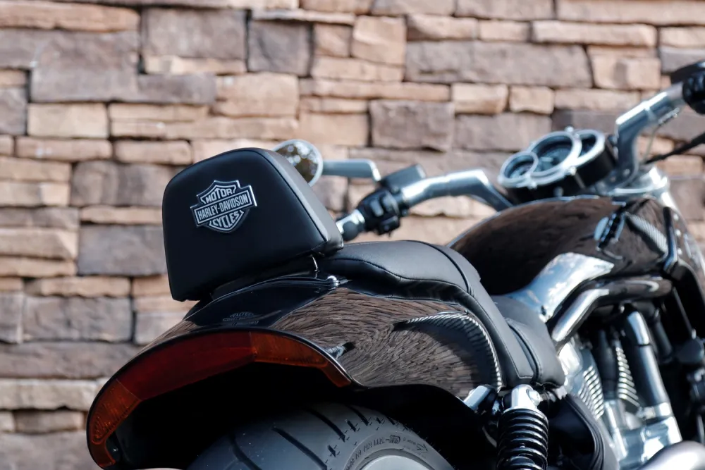 2009 Harley-Davidson VRSCF V-rod Muscle *VERKOCHT*