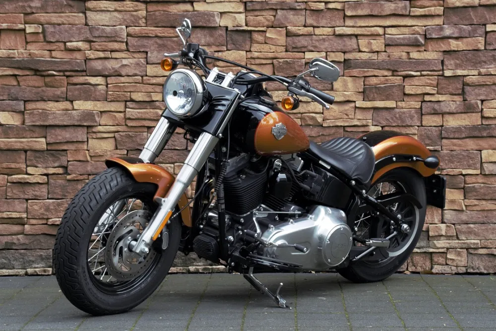 2015 Harley-Davidson FLS Softail Slim 103 *VERKOCHT*