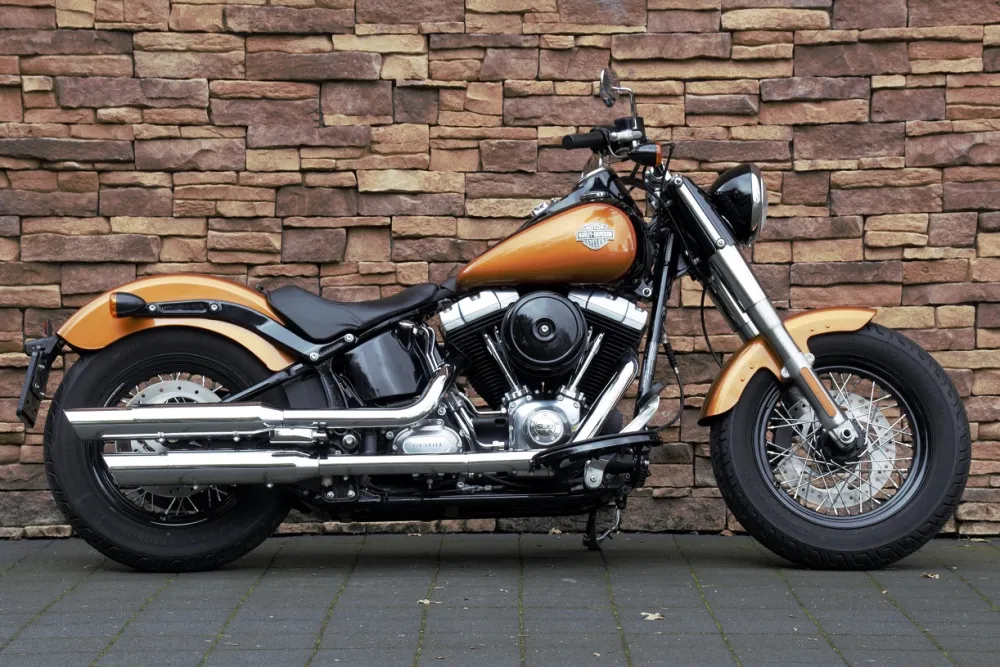 2015 Harley-Davidson FLS Softail Slim 103 *VERKOCHT*