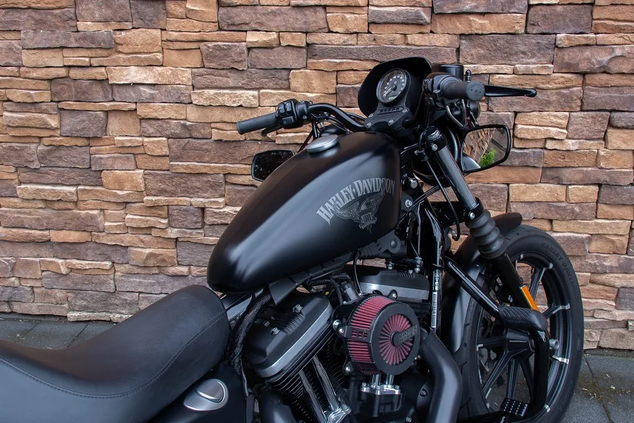 2016 Harley-Davidson XL883N Sportster Iron 883 ABS *VERKOCHT*