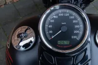 2009 Harley-Davidson FLSTSB Cross Bones Softail