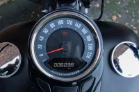 2020 Harley-Davidson FLSL Softail Slim 107 M8 *VERKOCHT*